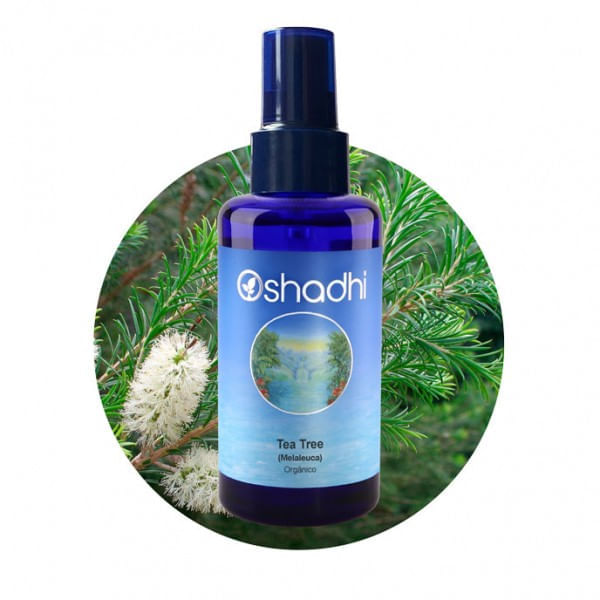 Hidrolato de Tea Tree Melaleuca Orgânico 100ml Oshadhi