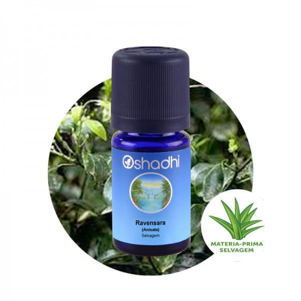 Óleo Essencial de Ravensara Anisata Selvagem 5ml Oshadhi