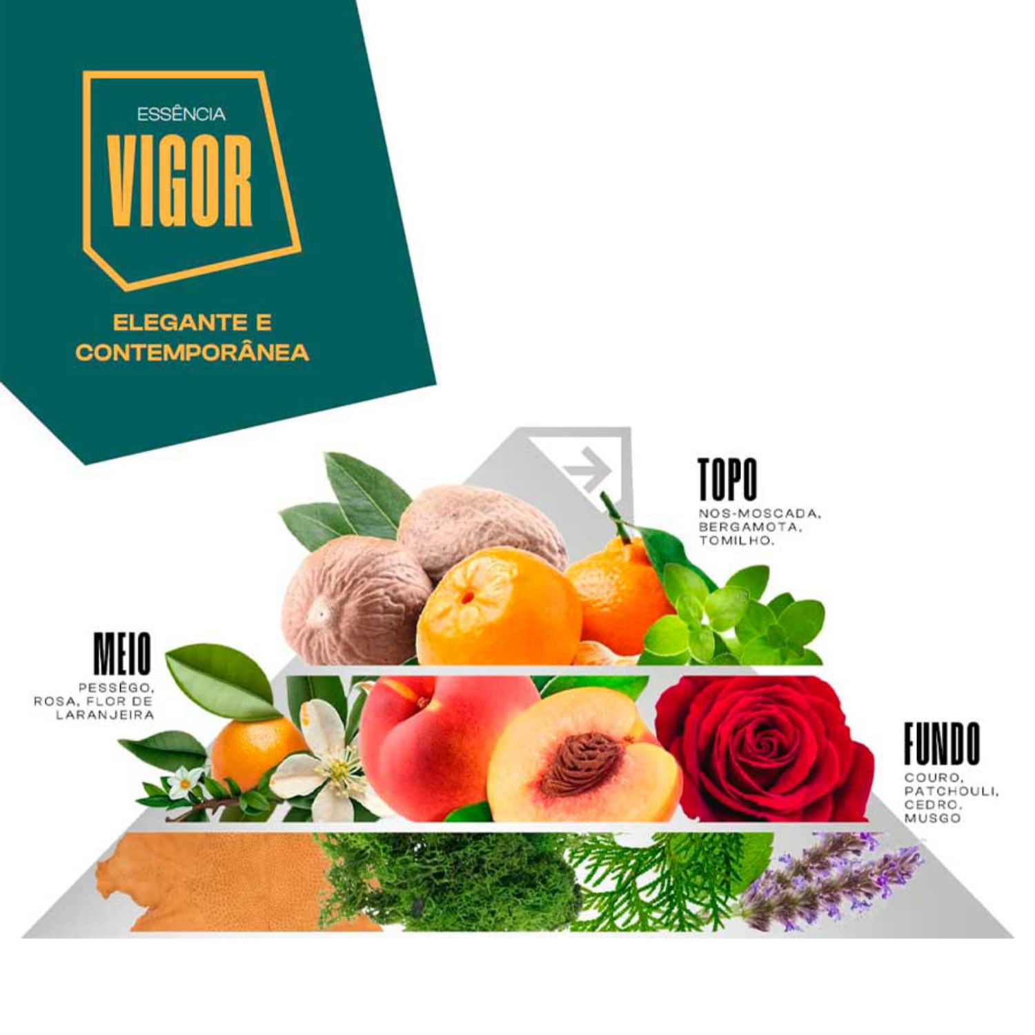 Shampoo para Barba Vigor Anti Ressecamento 120mL Partiu